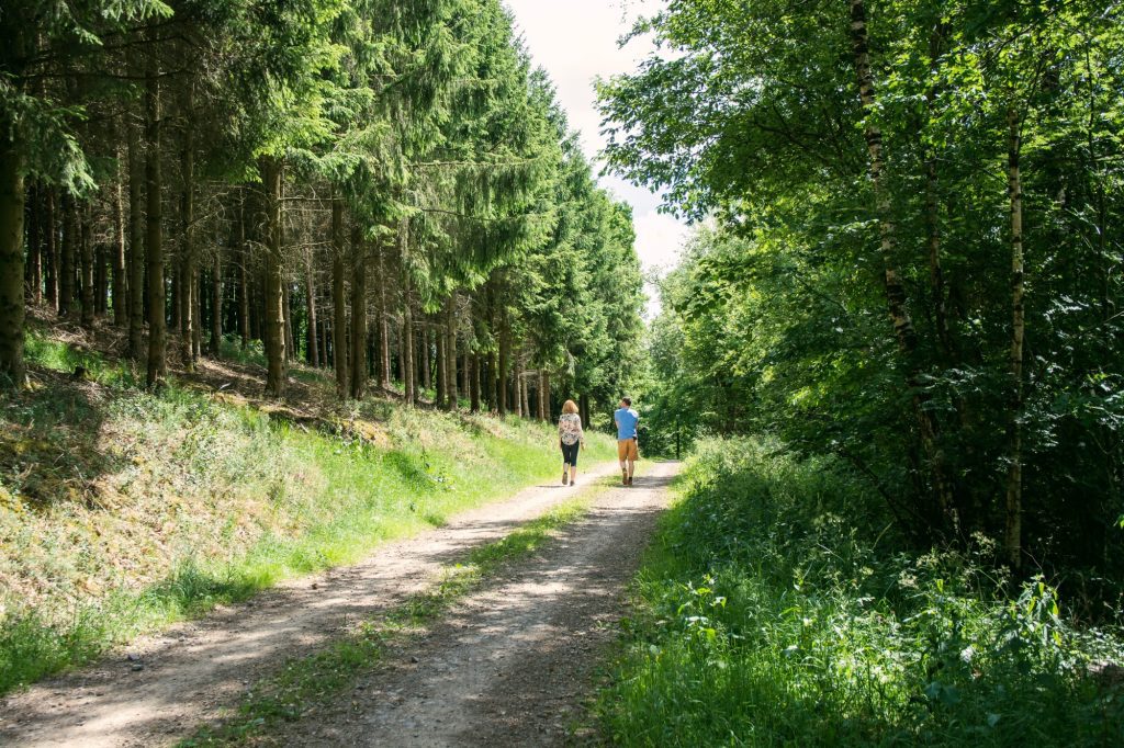 Waldweg- Pension Goebel - Niederhelden Repetal - Foto: Maja Frey
